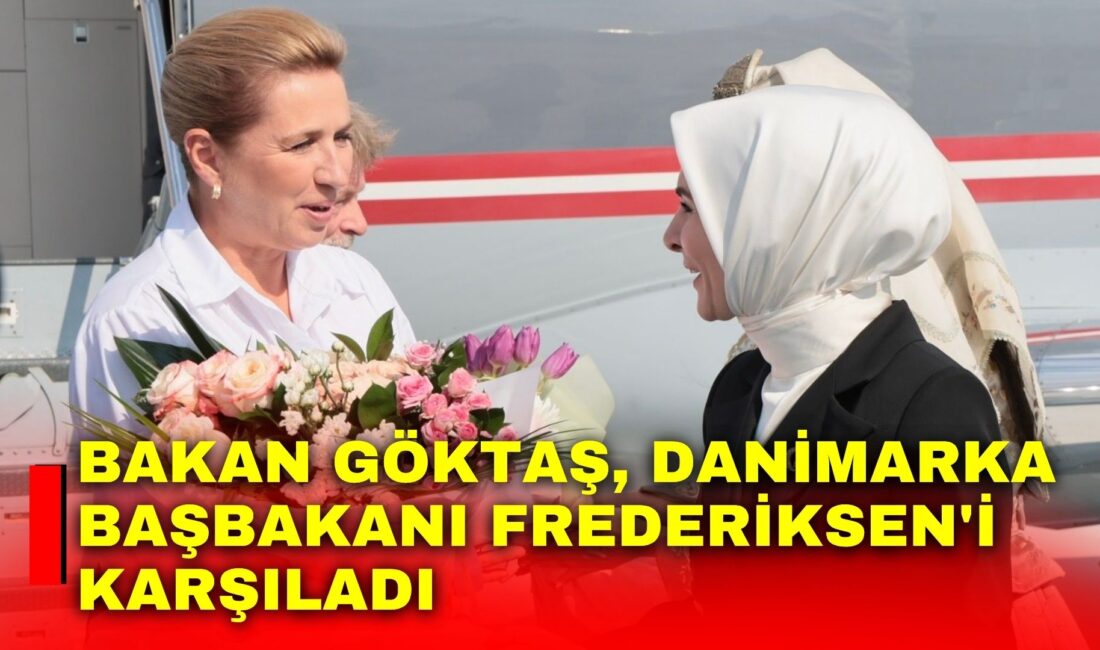 Aile ve Sosyal Hizmetler Bakanı Mahinur Özdemir Göktaş, Cumhurbaşkanı Recep