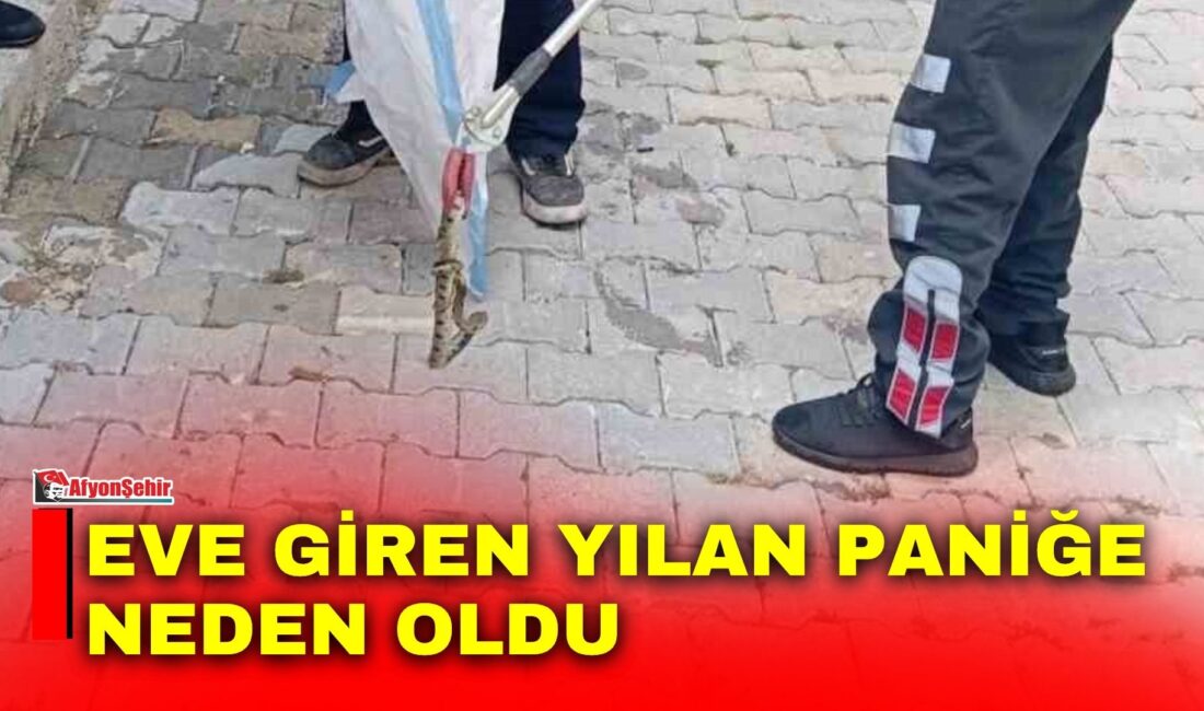 Afyonkarahisar’ın Sandıklı ilçesinde bir eve giren yılan, itfaiye ekiplerinin müdahalesiyle