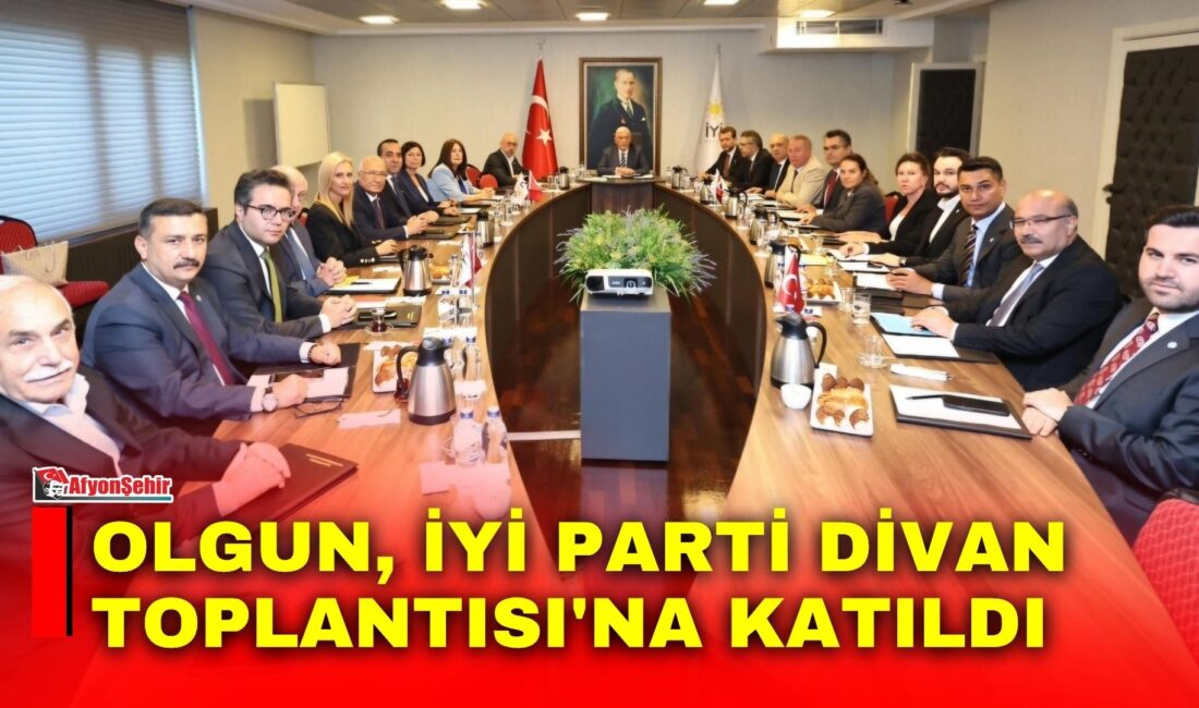 İYİ Parti Genel Başkan Yardımcısı ve Afyonkarahisar Milletvekili Hakan Şeref