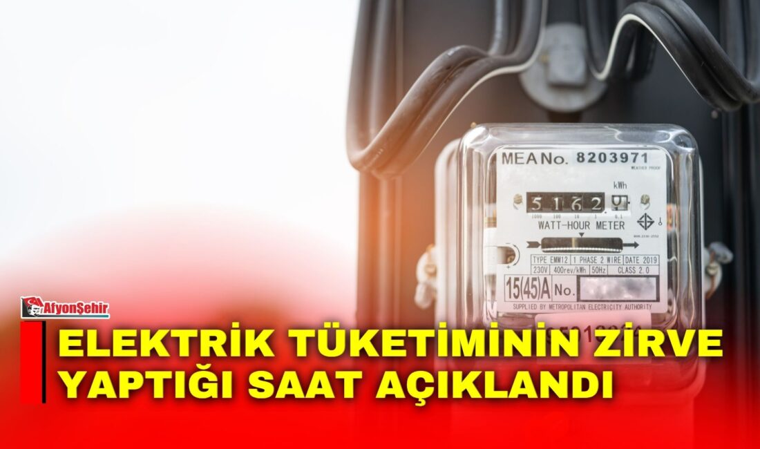 Türkiye'de günlük elektrik tüketimi 1 milyon 53 bin 405 megavatsaat