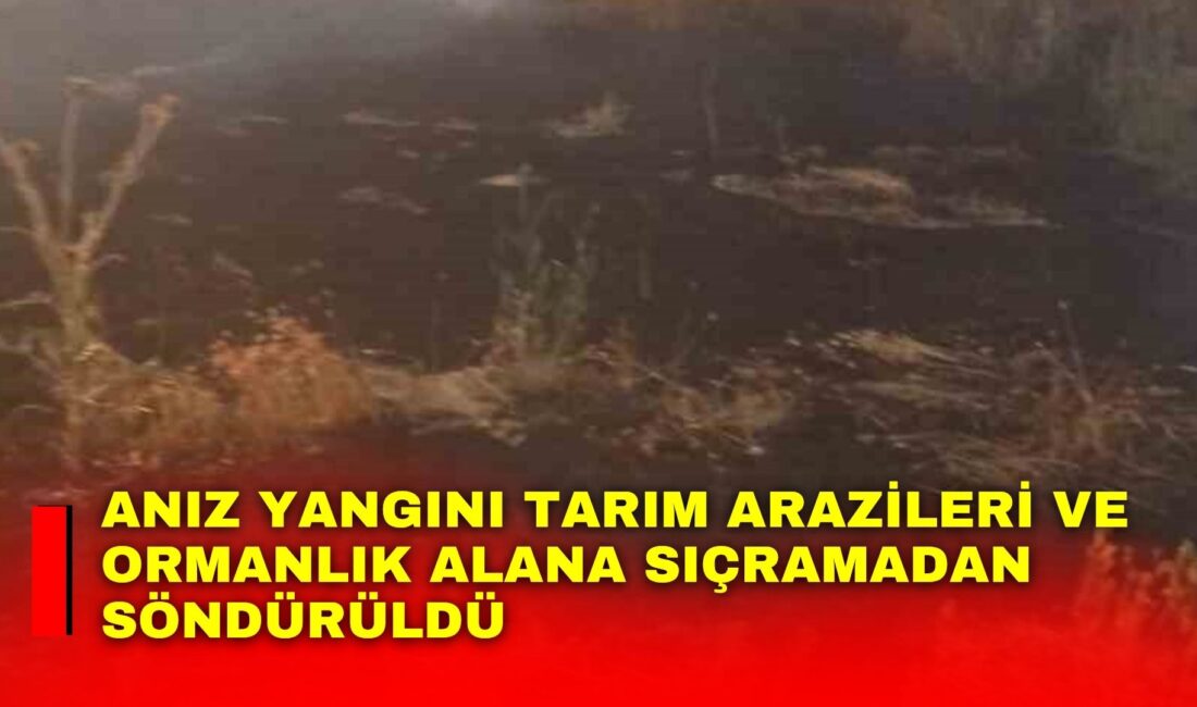 Afyonkarahisar’da çıkan anız yangını, ekili tarım arazileri ve ormanlık alana