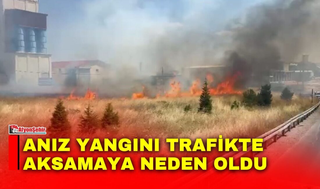 Afyonkarahisar’da çıkan anız yangınında dumandan dolayı trafikte kısa süreli aksama