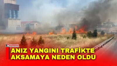 Afyonkarahisar’da çıkan anız yangınında dumandan dolayı trafikte kısa süreli aksama