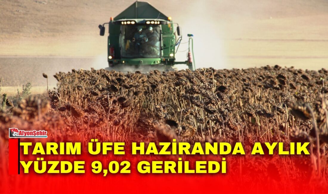 Türkiye İstatistik Kurumu (TÜİK), 2026 yılı Haziran ayına ilişkin Tarım