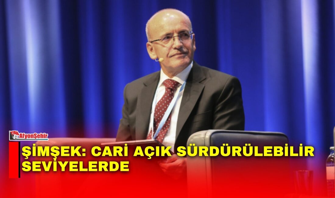 Hazine ve Maliye Bakanı Mehmet Şimşek, mayıs ayına ilişkin cari