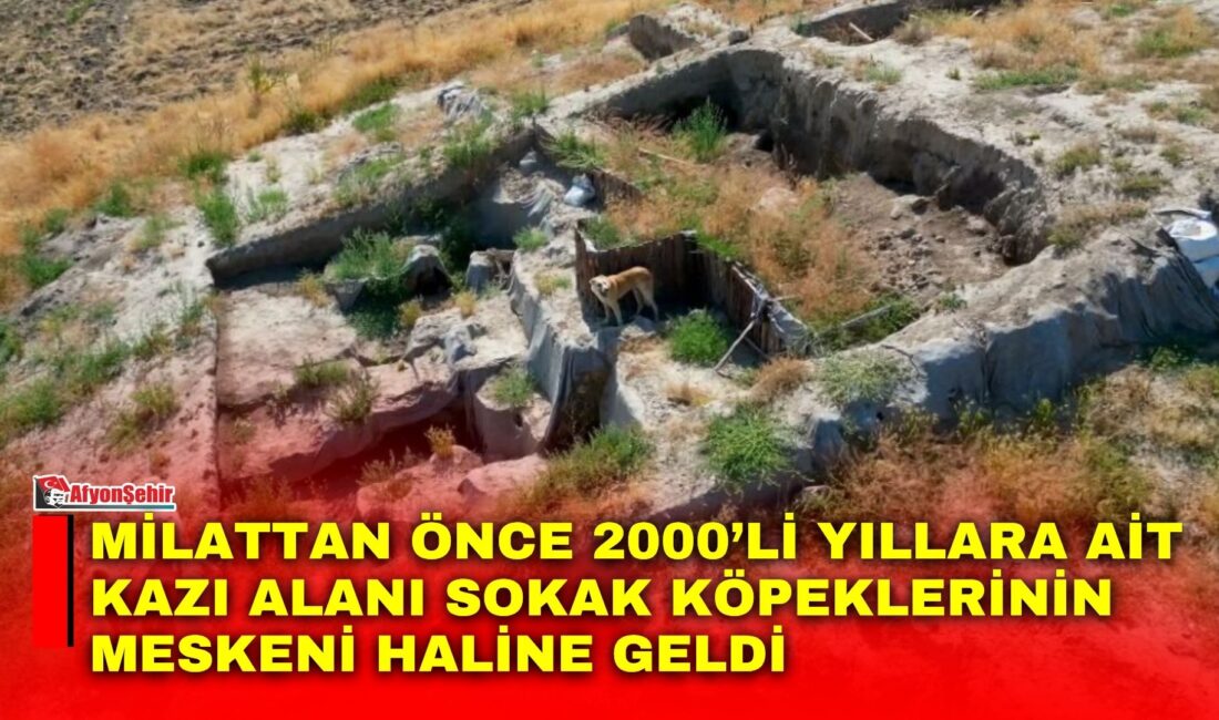 Afyonkarahisar’ın Bolvadin ilçesindeki Üçhöyük’te, kayıp şehir Puruşhanda’ya ulaşılması umuduyla sürdürülen