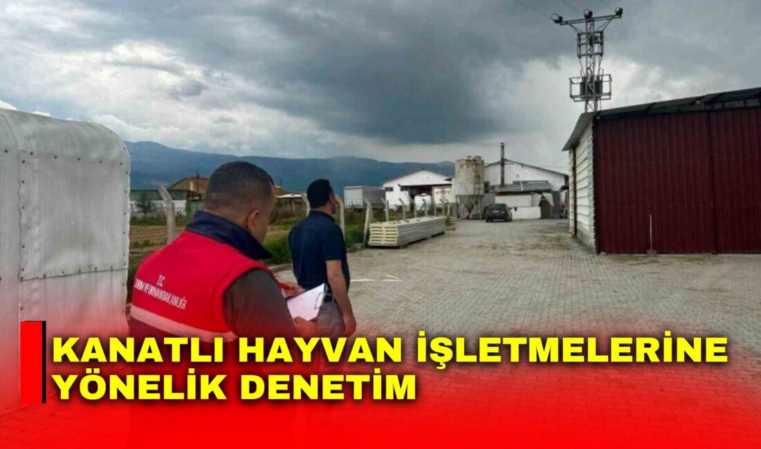 Afyonkarahisar’ın Başmakçı ilçesinde, kanatlı hayvan sağlığının korunması ve bulaşıcı hastalık