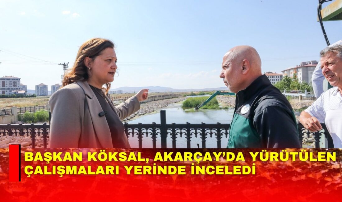 Afyonkarahisar Belediye Başkanı Burcu Köksal, belediye ile Devlet Su İşleri