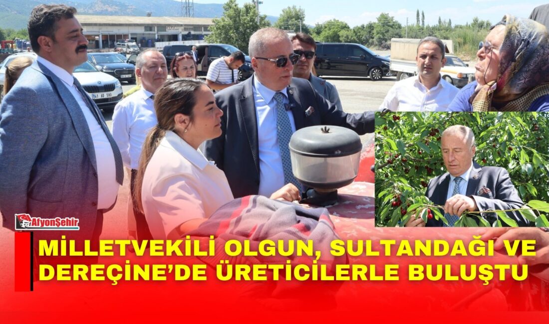 İYİ Parti Genel Başkan Yardımcısı, Hukuk ve Seçim İşleri Başkanı
