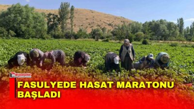 Afyonkarahisar’ın tarımsal potansiyeliyle öne çıkan Şuhut ilçesinde, yaz sezonunun en