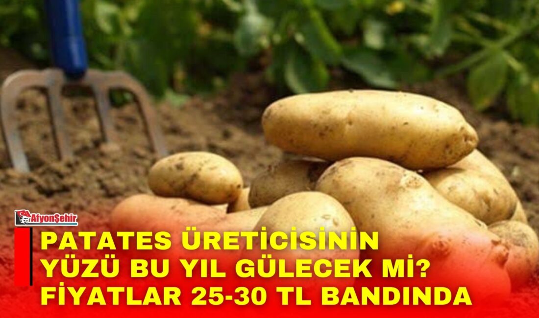 Afyonkarahisar ve bölgesinde patates hasadı başlarken üreticiler, geçen yıllara göre