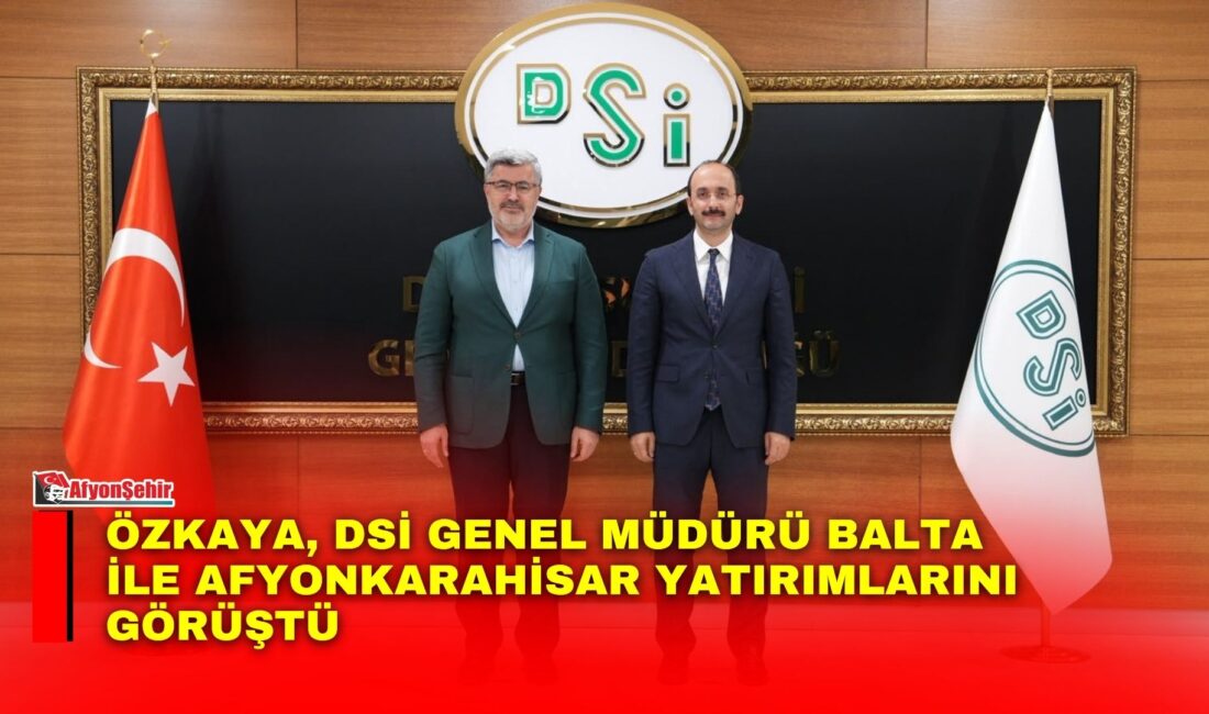 AK Parti Afyonkarahisar Milletvekili Ali Özkaya, Devlet Su İşleri (DSİ)