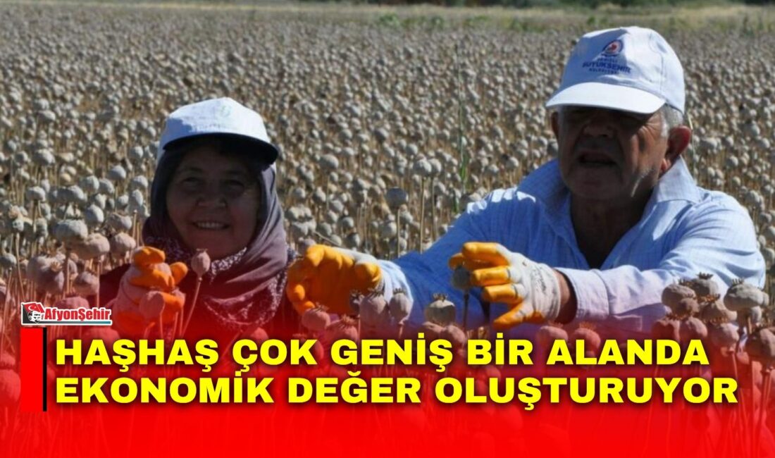 Afyon için sıradan bir tarım ürünü olmanın ötesinde kültürel bir