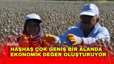 Afyon için sıradan bir tarım ürünü olmanın ötesinde kültürel bir