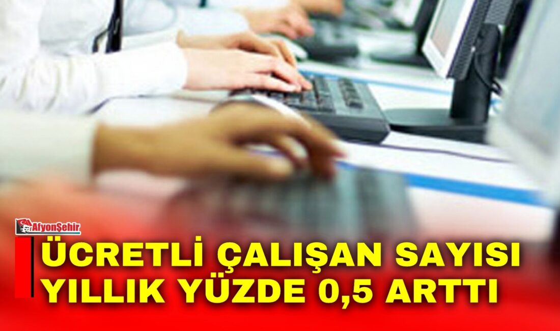 Türkiye İstatistik Kurumu (TÜİK), 2026 yılı Mayıs ayına ilişkin Ücretli