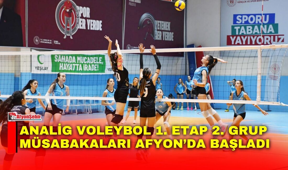 Gençlik ve Spor Bakanlığı tarafından düzenlenen Anadolu Yıldızlar Ligi (ANALİG)