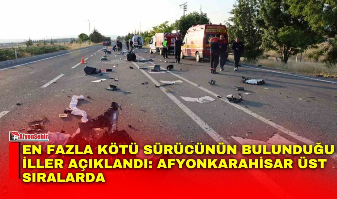 Açıklanan trafik kaza verilerine göre, Afyonkarahisar sürücü kusurlarının yoğun görüldüğü