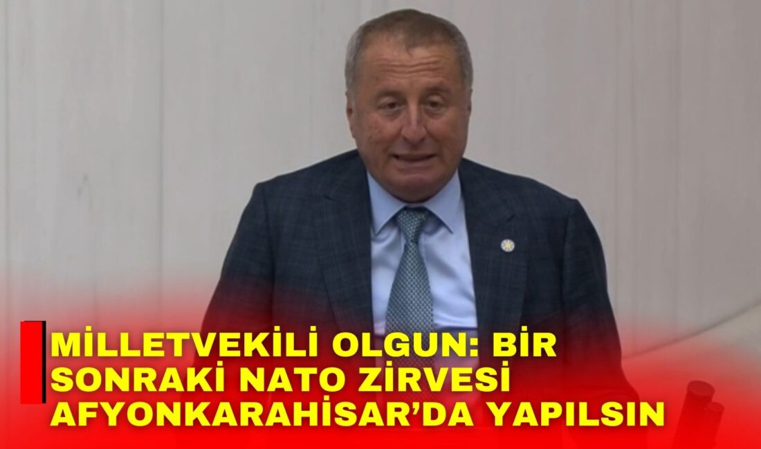 İYİ Parti Genel Başkan Yardımcısı ve Afyonkarahisar Milletvekili Hakan Şeref