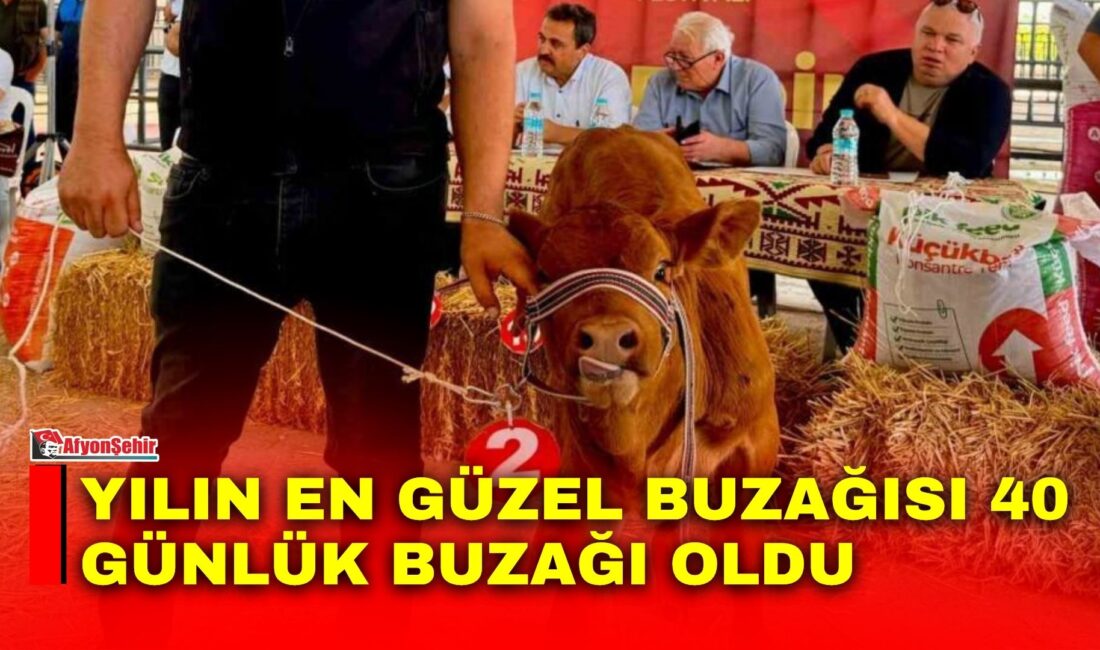 Afyonkarahisar’ın Bolvadin ilçesinde bu yıl 35’incisi düzenlenen Eber Gölü Kaymak
