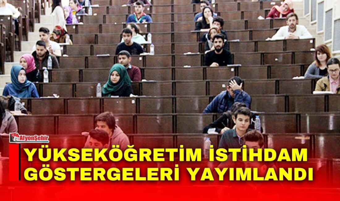 TÜİK'in 2025 Yükseköğretim İstihdam Göstergeleri'ne göre lisans mezunlarının kayıtlı istihdam