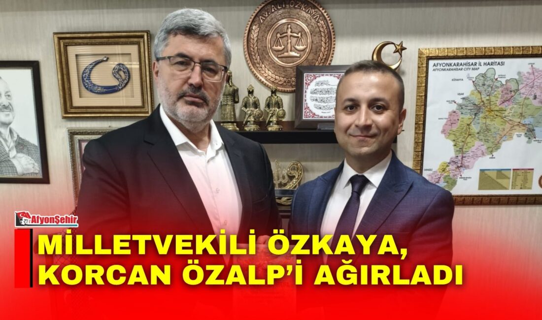 AK Parti Afyonkarahisar Milletvekili Ali Özkaya, Sanayi ve Teknoloji Bakanlığında