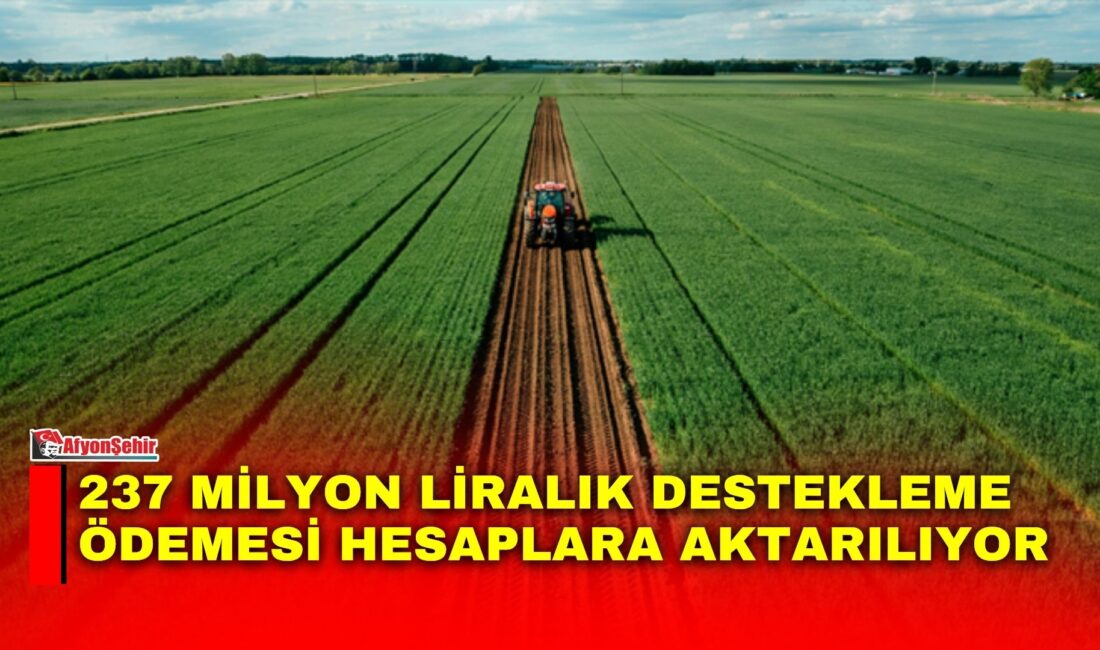 Tarım ve Orman Bakanı İbrahim Yumaklı, 237 milyon 356 bin