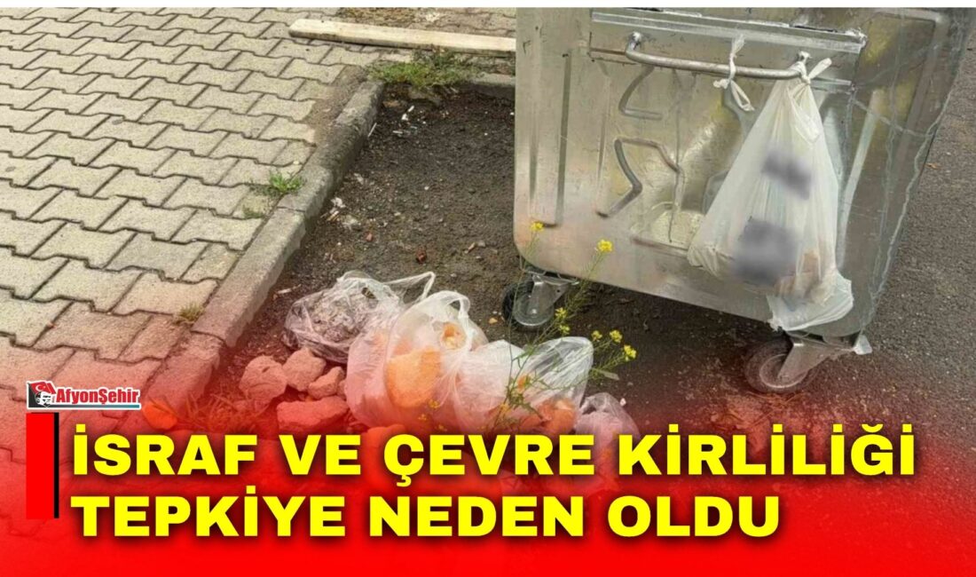 Afyonkarahisar’ın Bolvadin ilçesinde çöp konteynerleri boş olmasına rağmen atıkların dışarıya