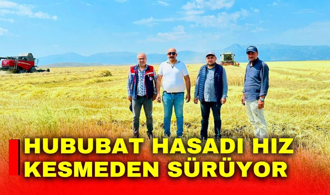 Afyonkarahisar İl Tarım ve Orman Müdürlüğü, il genelinde hububat hasadının