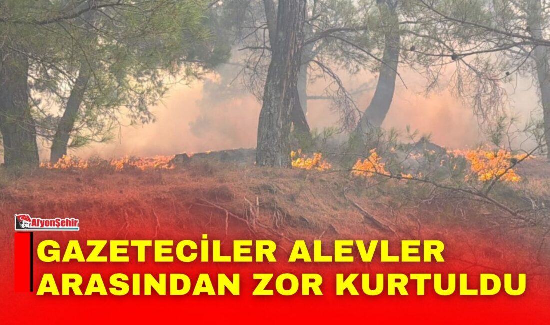 Balıkesir’in Ayvalık ve Gömeç ilçelerinde başlayan, rüzgarın etkisiyle büyüyerek İzmir’in