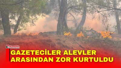 Balıkesir’in Ayvalık ve Gömeç ilçelerinde başlayan, rüzgarın etkisiyle büyüyerek İzmir’in