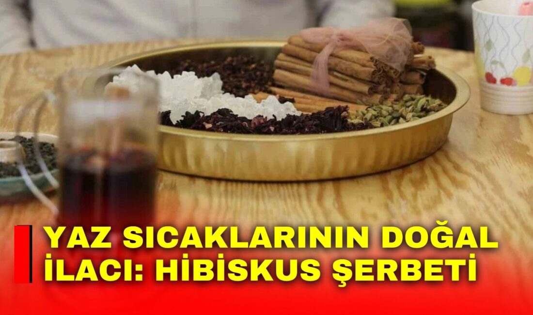 Yaz sıcaklarının doğal ilacı: Hibiskus Şerbeti Hava sıcaklıklarının artmasıyla birlikte serinletici ve doğal içeceklere ilgi de