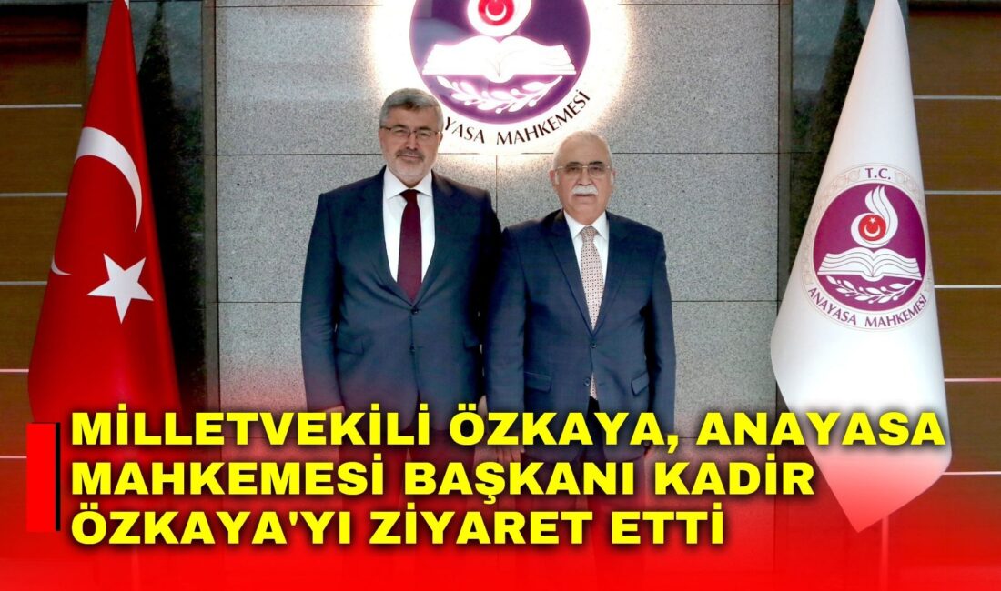 AK Parti Afyonkarahisar Milletvekili Ali Özkaya, Anayasa Mahkemesi Başkanı Kadir