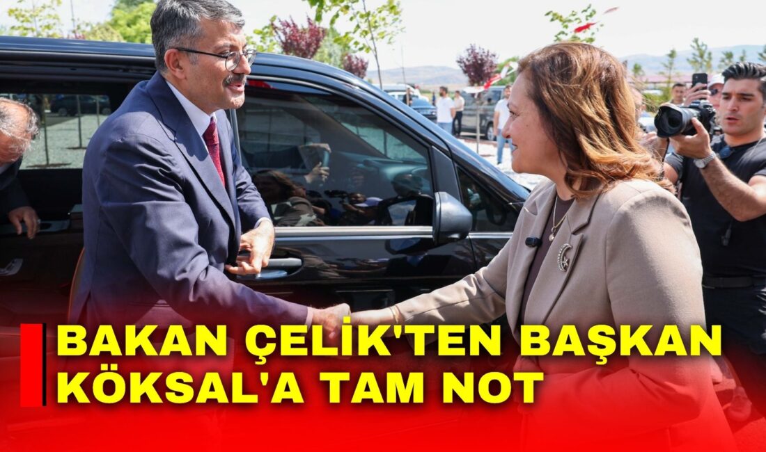 Afyonkarahisar Belediyesi tarafından yapımı tamamlanan Sokak Hayvanları Bakım ve Rehabilitasyon