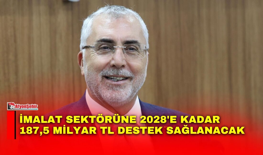 Çalışma ve Sosyal Güvenlik Bakanı Prof. Dr. Vedat Işıkhan, imalat