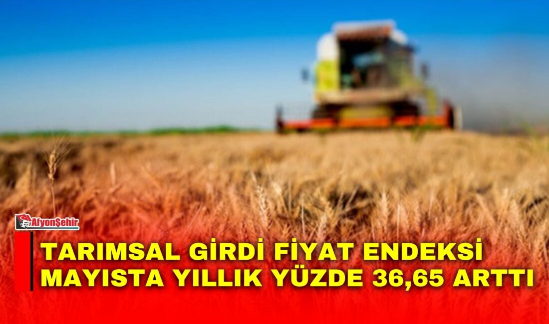 Türkiye İstatistik Kurumu (TÜİK), 2026 yılı Mayıs ayına ilişkin Tarımsal
