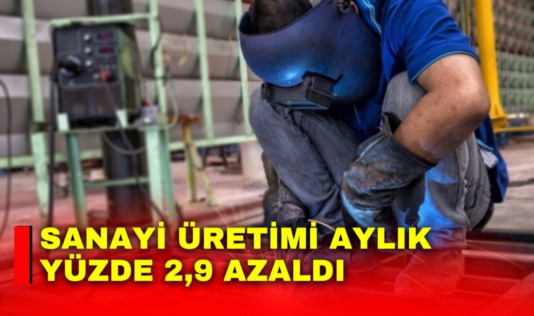 Türkiye İstatistik Kurumu (TÜİK), Mayıs ayı Sanayi Üretim Endeksi verilerini
