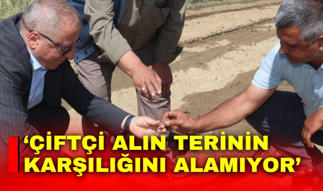‘Çiftçi alın terinin karşılığını alamıyor’ İYİ Parti Afyon Milletvekili Olgun, artan üretim maliyetleri nedeniyle çiftçilerin