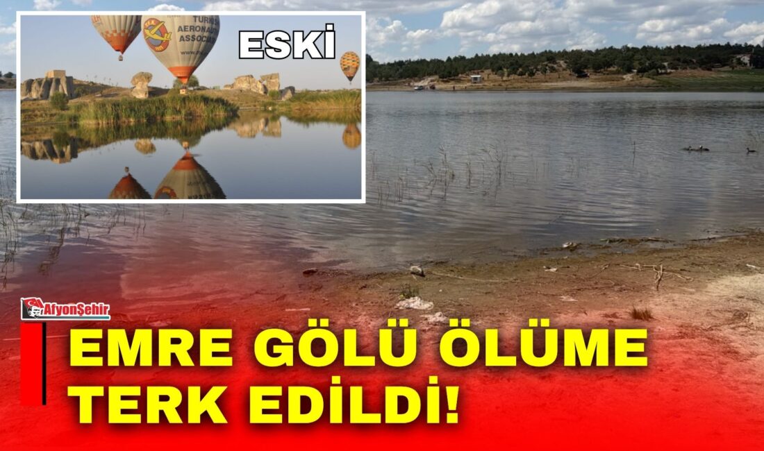 Emre Gölü, dönemin Afyonkarahisar Valisi Gökmen Çiçek'in en önem verdiği