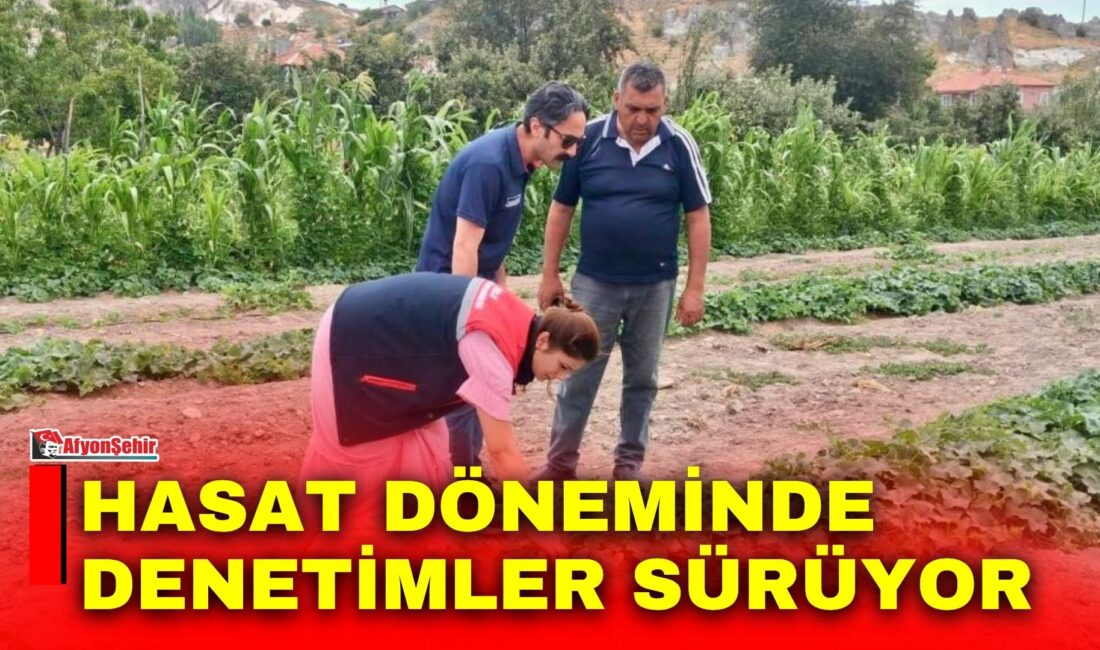 Afyon’da süren hasat döneminde İl Tarım ve Orman Müdürlüğü ekiplerince