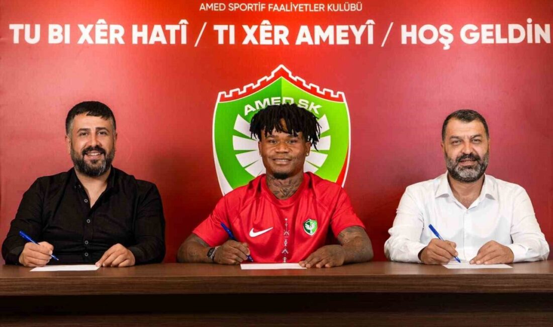 Amed Sportif Faaliyetler, Almanya Bundesliga ekibi Hoffenheim’de forma giyen Gift