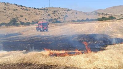 Afyonkarahisar’ın Sandıklı ilçesinde yaşanan anız yangınında yaklaşık 200 dekarlık alan