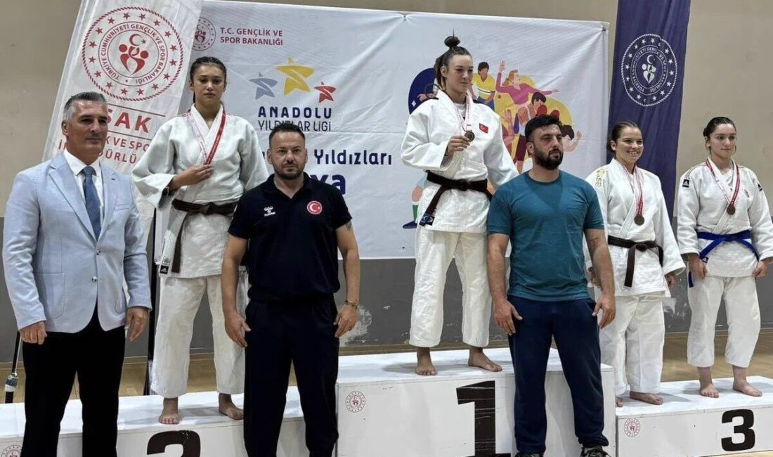 Eskişehirli judocular, Analig Grup Müsabakalarında elde ettikleri şampiyonluk ve ikincilik