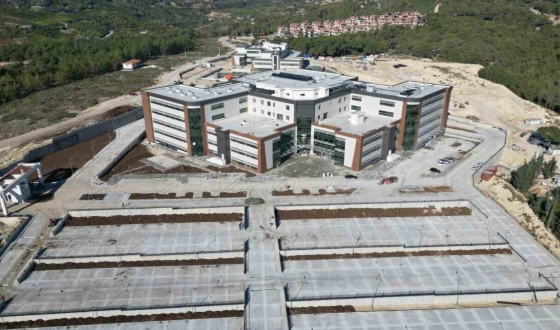AK Parti Mersin Milletvekili ve Kamu İktisadi Teşebbüsleri Komisyonu Üyesi