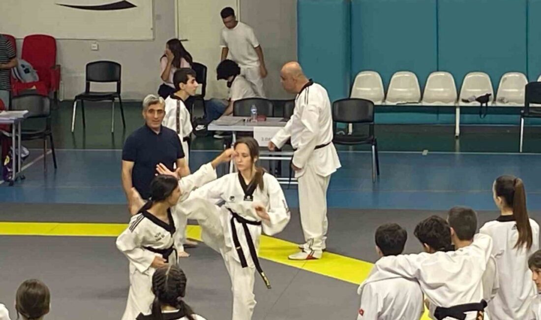 Erzurum’un Oltu ilçesinde taekwondo sporuyla uzun yıllardır ilgilenen genç sporcu