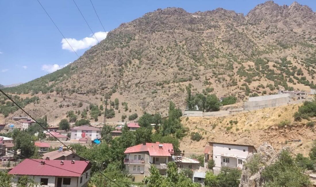 Şırnak’ın Beytüşşebap ilçesine bağlı Belgon Yaylasında baygın halde mahsur kalan