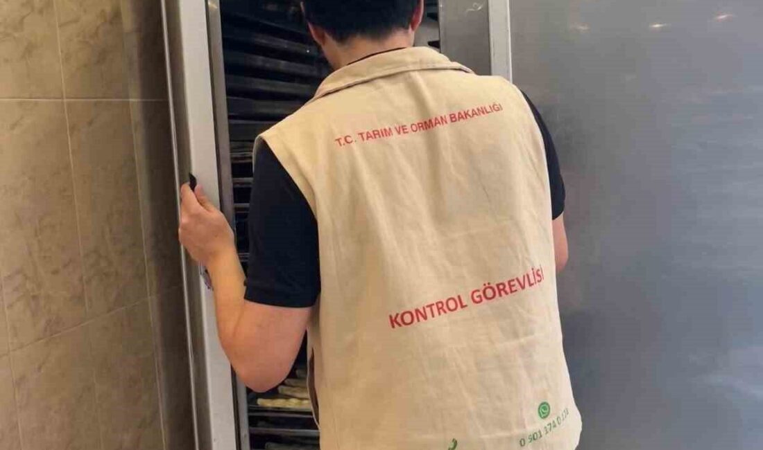 Aydın’ın Söke ilçesinde halk sağlığının korunması hedefiyle riske dayalı gıda