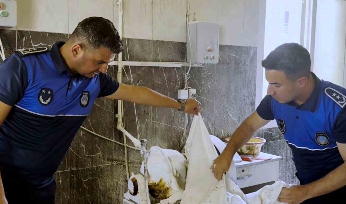 Tarsus Belediyesi ekiplerinin kent genelindeki pide pişirim ve simit fırınlarında