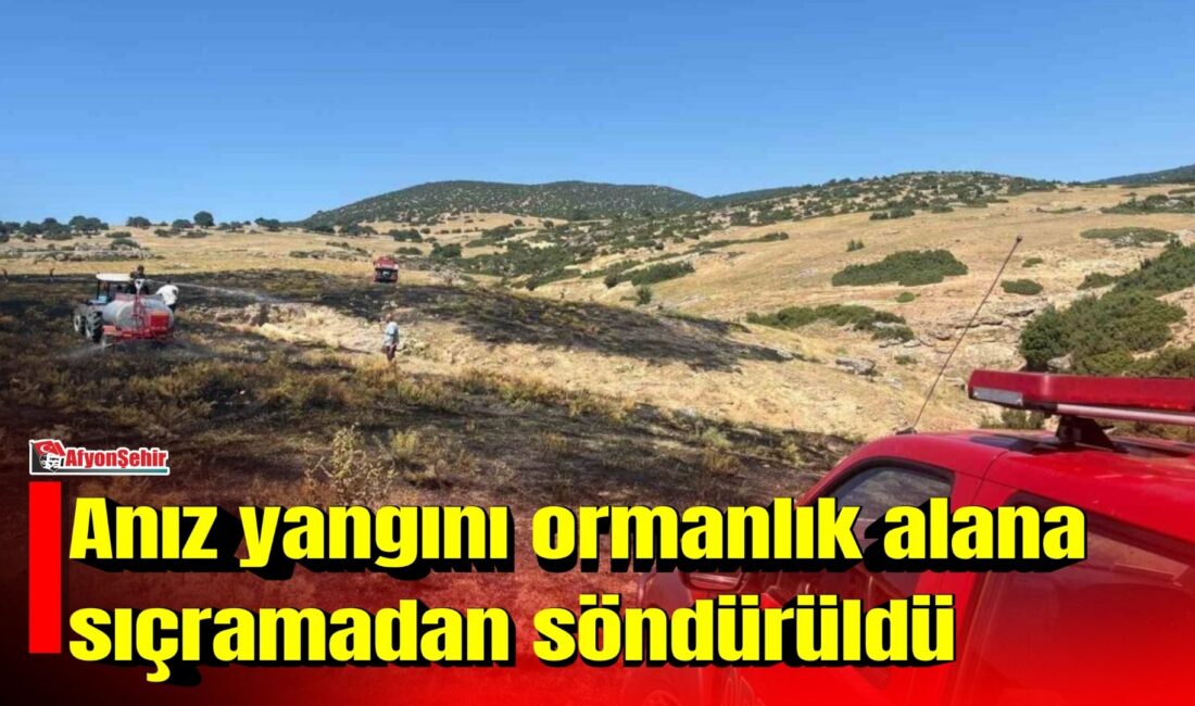 Afyonkarahisar’da çıkan anız yangını itfaiye ekiplerinin zamanında müdahalesiyle ormanlık alana