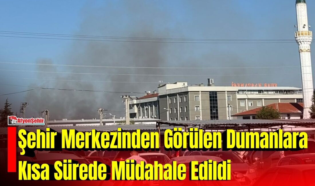 Afyonkarahisar'da 2. Küçük Sanayi Sitesi civarında çıkan yangında siyah dumanlar