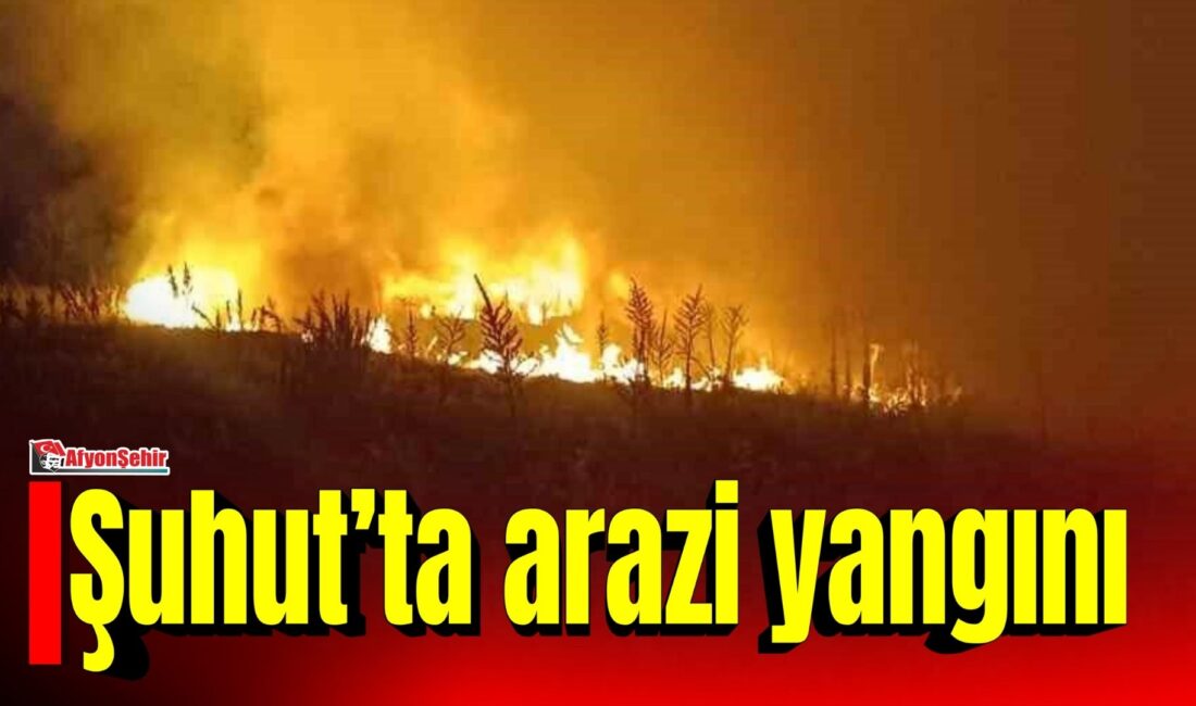 Afyonkarahisar’ın Şuhut ilçesine bağlı Anayurt köyünde çıkan anız yangını, köy